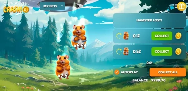 Play 1win Crash Hamster Crash